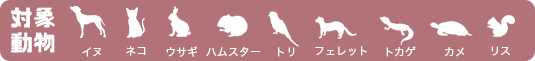 対象動物 犬 猫 ハムスター フェレット ウサギ リス トカゲ トリ カメ