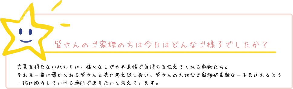 家族に迎えてからお星様になる日まで